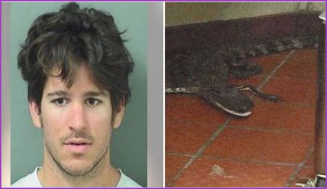 Florida Man Throws Crocodile In Drive Thru